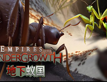地下蚁国下载,中文汉化电脑版附安装教程