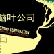 脑叶公司下载，中文简体电脑版附地址